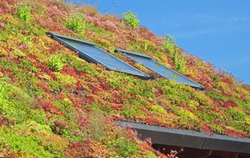 Boyton Cross living roof systems